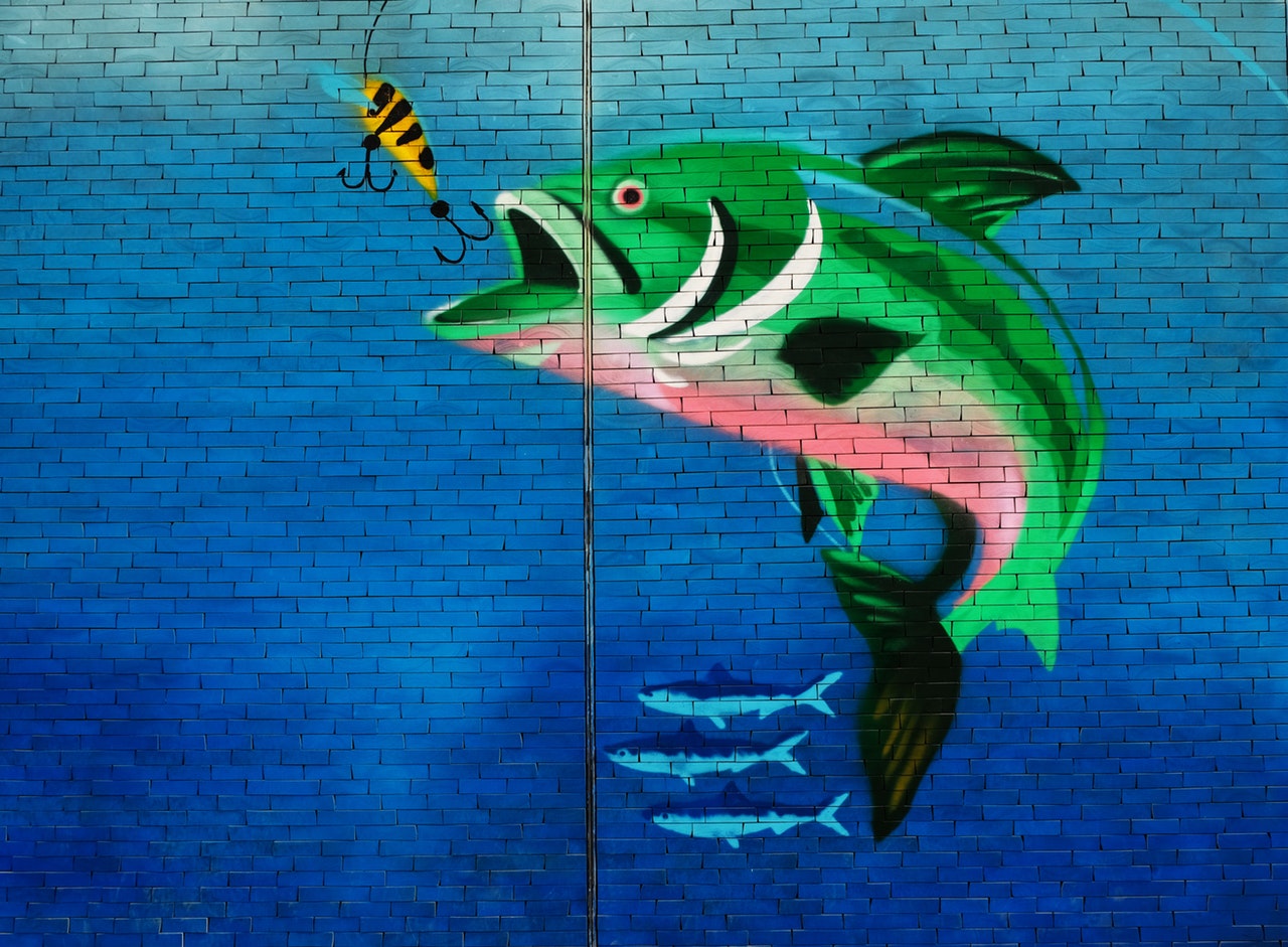Fish painted on a wall